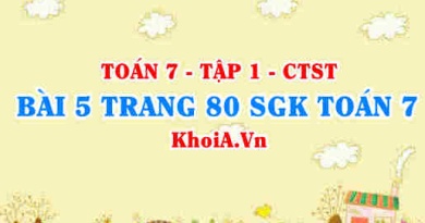 Bài 5 trang 80 SGK Toán 7 tập 1 Chân trời sáng tạo
